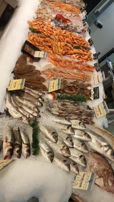 🦐🦀🦪🦞