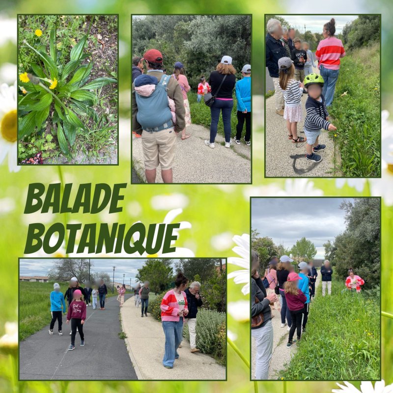 📷​ Retour en images sur la balade découverte proposée l'association "Les secrets de la nature" !