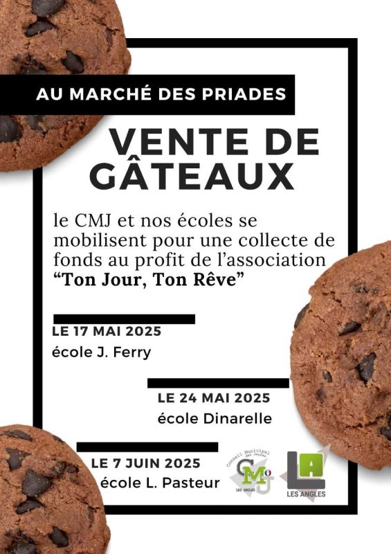 Conseil Municipal des Jeunes
