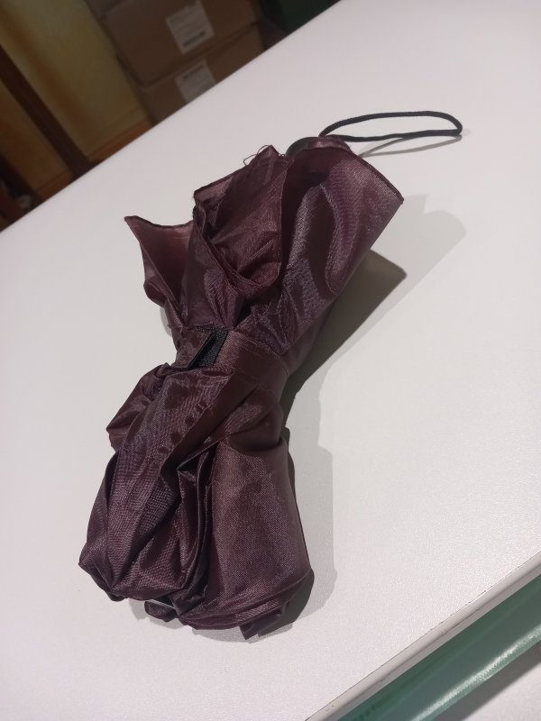 Objet trouvé : parapluie