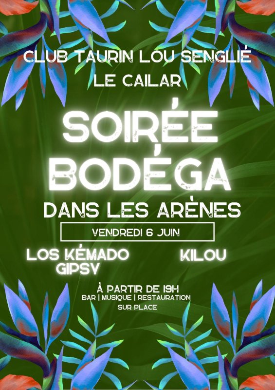 Mais que ce passe-t-il au Cailar ce week-end ?