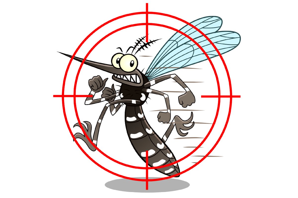 🦟 Moustique-tigre : adoptons les bons gestes !