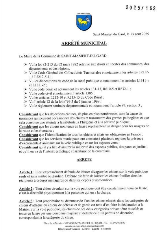 Chiens en laisse & ramassage des déjections : un geste de respect pour tous 🐾