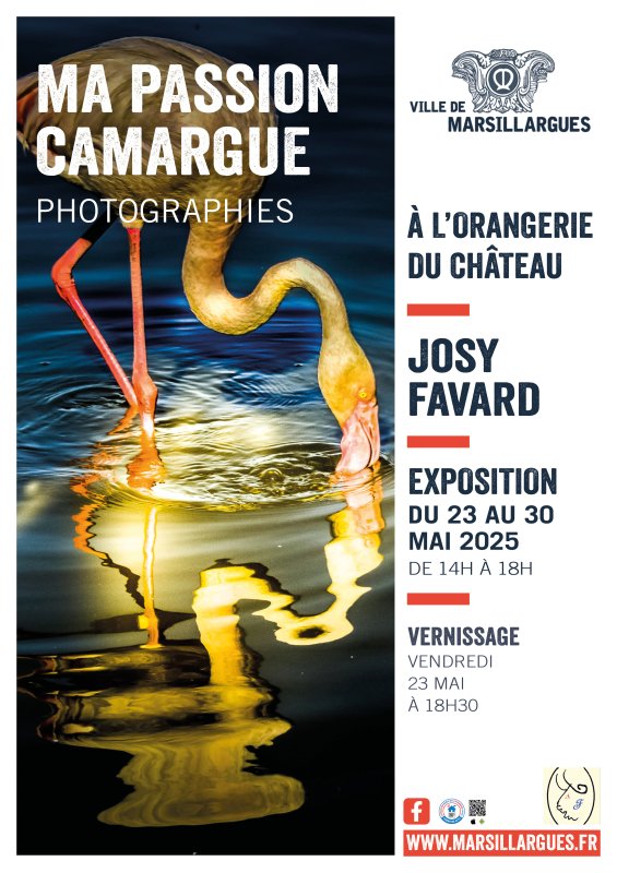 📸 [EXPOSITION PHOTO] – "MA PASSION CAMARGUE" par Josy Favard 📸