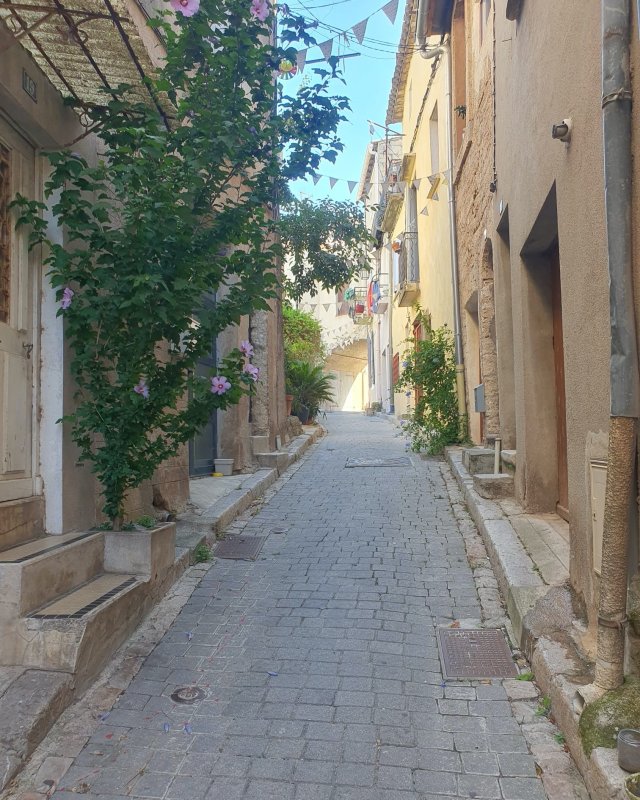 AVEC LE PERMIS DE VÉGÉTALISER, EMBELLISSONS NOS ESPACES COMMUNS🌿🌺