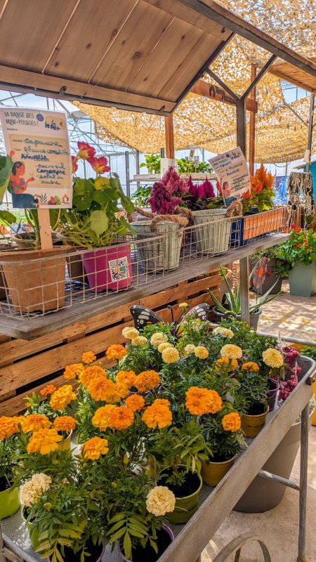 🌿 Nouveautés de saison à la Boutique La Danse des Mini-Pousses ! 🌿