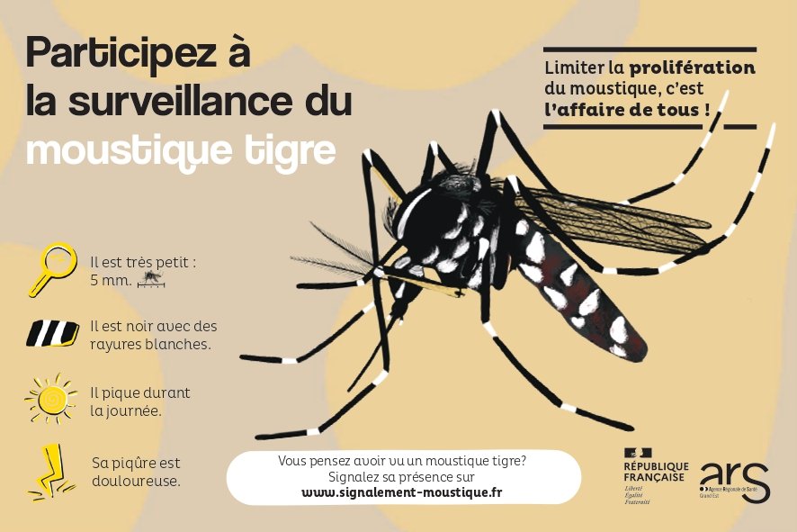 RAPPEL DE LUTTE CONTRE LES MOUSTIQUES TIGRES.