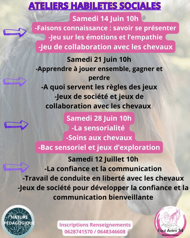 Ateliers habiletés sociales
