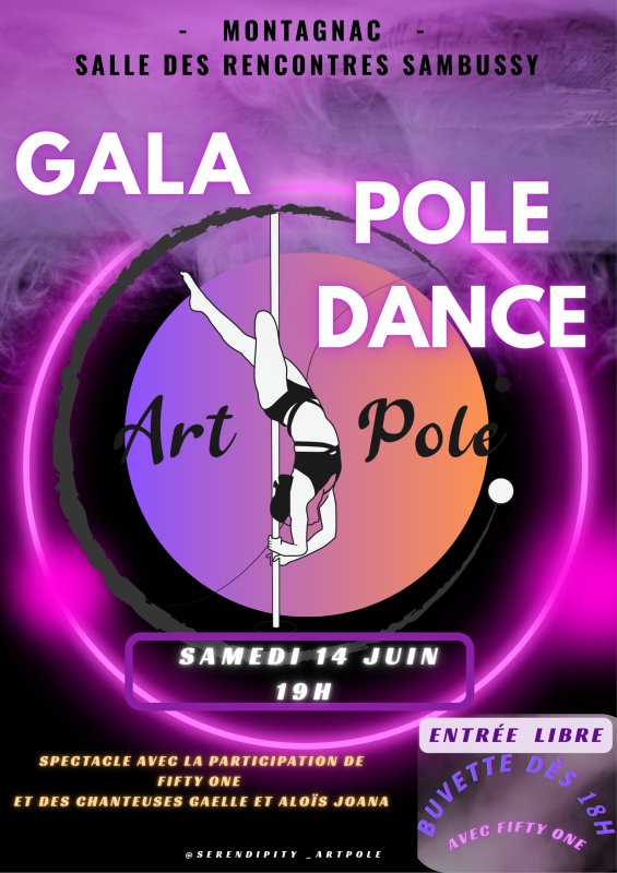 ✨ Gala Pole Dance  💫