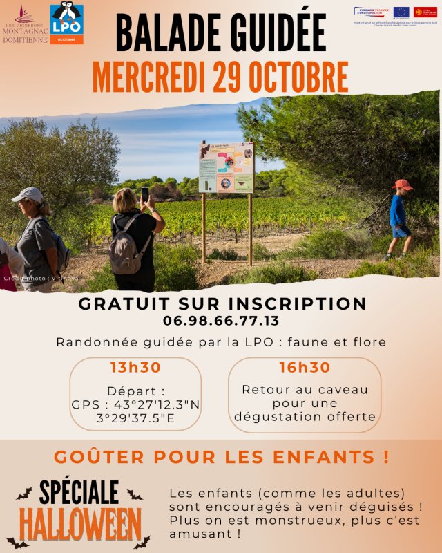 BALADE GUIDEE HALLOWEEN ! 29 octobre 🎃