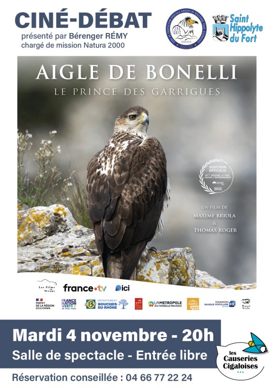 Ciné-débat : Aigle de Bonelli, prince des garrigues