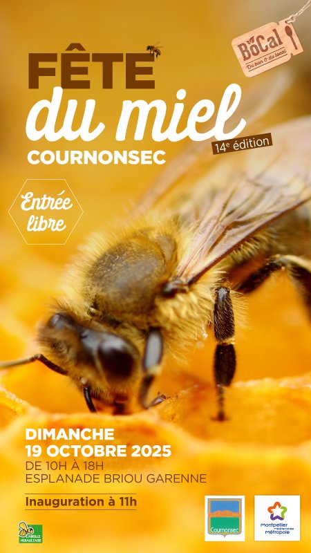 14ème édition de la Fête du Miel