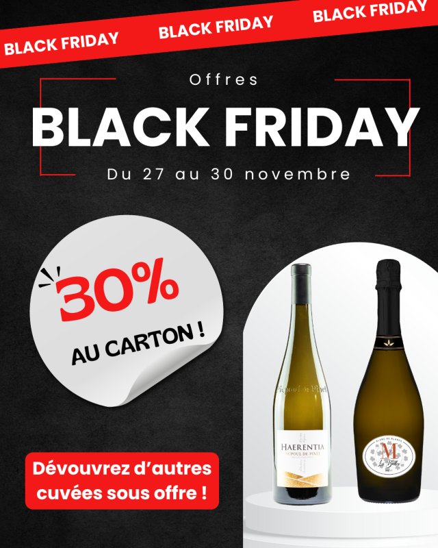 J-7 AVANT LE BLACK FRIDAY : CAVEAU MONTAGNAC