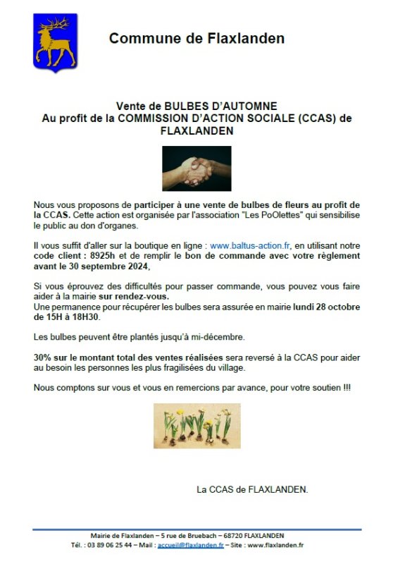 Vente de bulbes au profit e la CCAS