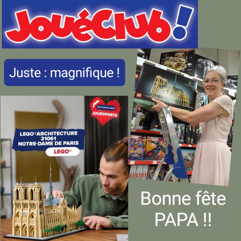 JouéClub - LEGO Notre dame