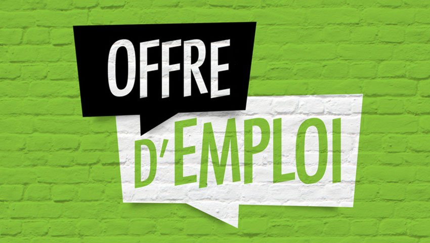 Offre d'emploi Développeur Web confirmé