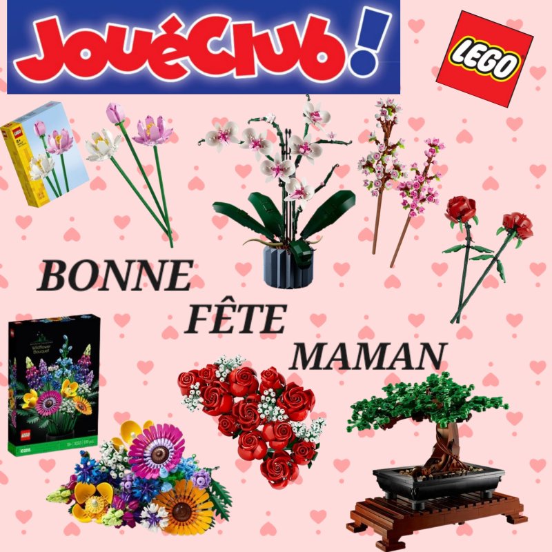 JouéClub - Lego Fête des mères