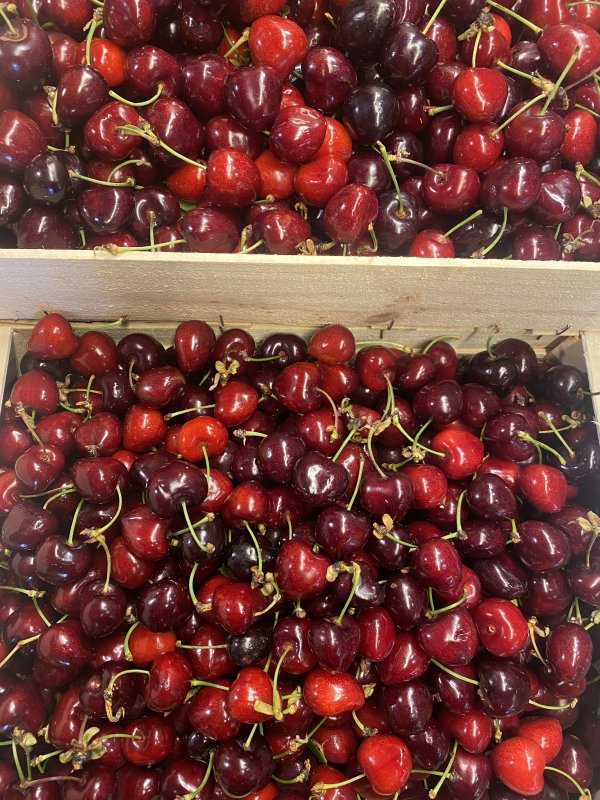 🍒🍒🍒🍒