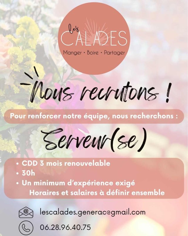 Offre d'emploi Serveur/Serveuse