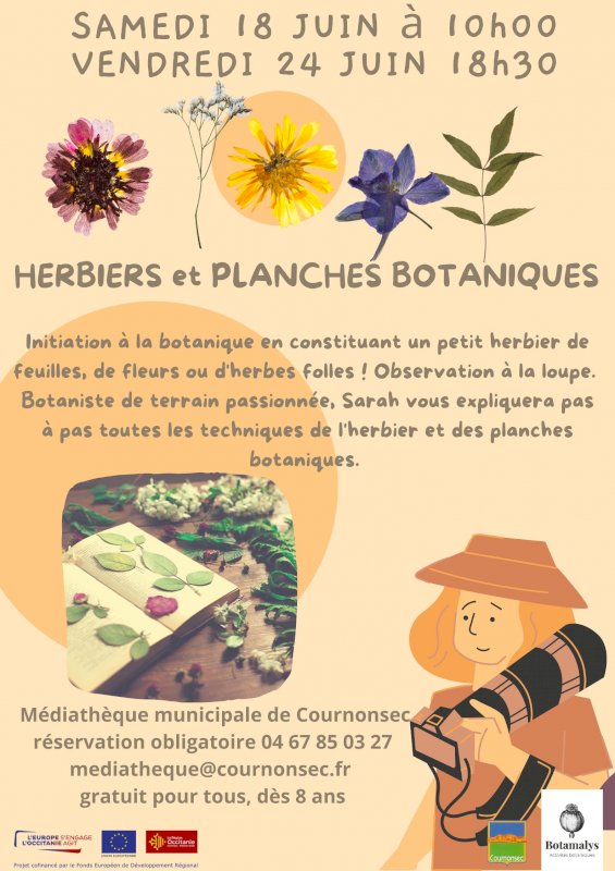 Ateliers herbiers et planches botaniques