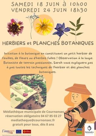 Herbiers et planches botaniques 24 juin 18h30