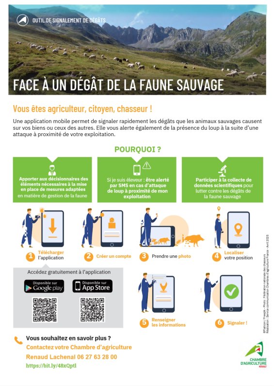 Vous avez des d&eacute;g&acirc;ts de faune sauvage ? Signalez-les !