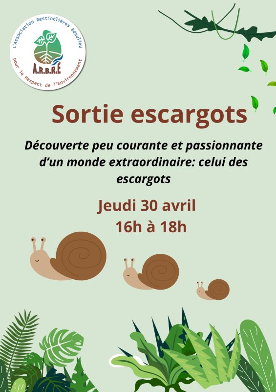 D&eacute;couverte des escargots