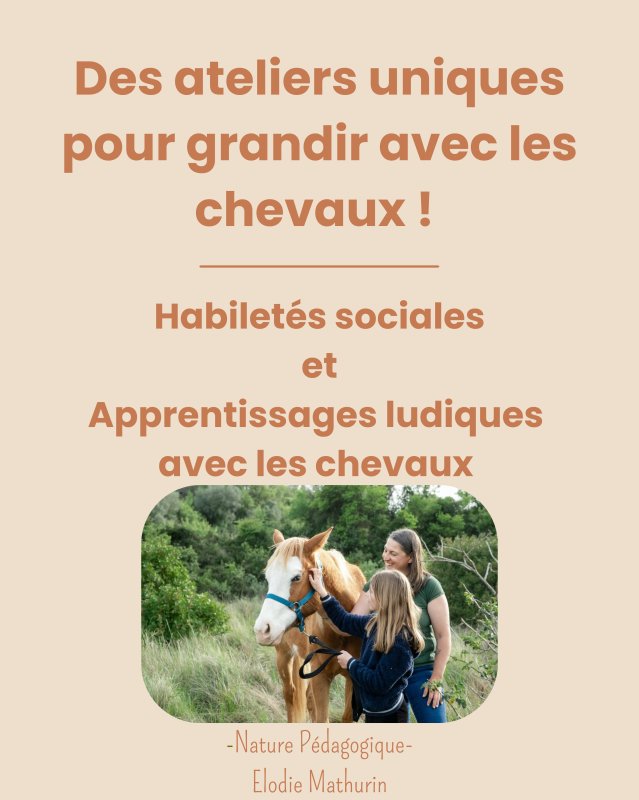 🌿 D&eacute;couvrez mes ateliers d&rsquo;&eacute;t&eacute; 2026 : Habilet&eacute;s sociales & Apprendre en s'amusant avec les chevaux !