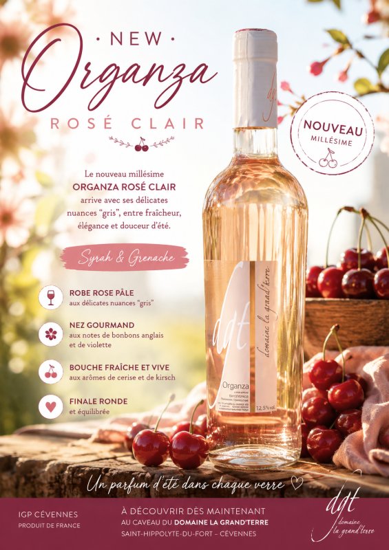 🍷✨ NEW ORGANZA ROS&Eacute; CLAIR ✨🌸