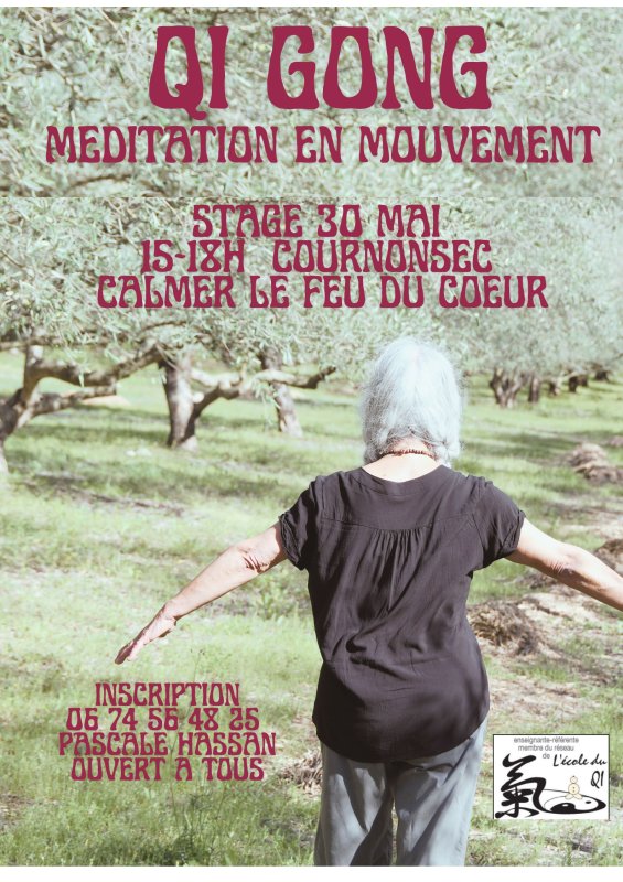 Qi GONG samedi 30 mai 15h-18h