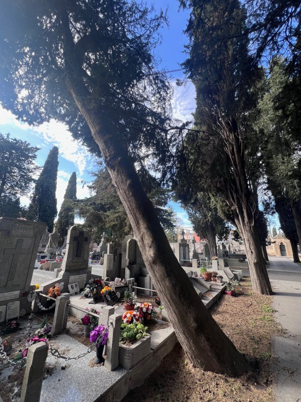 Le cimeti&egrave;re "vieux" reste ferm&eacute;...