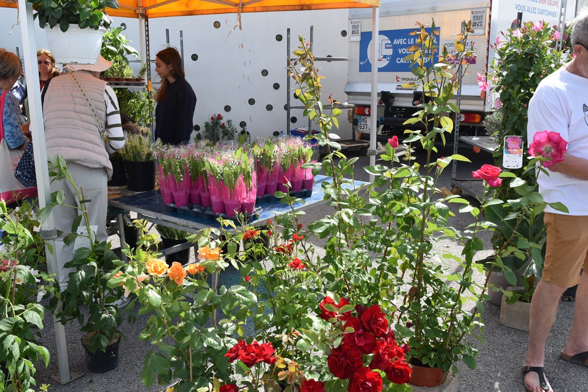 Les Floralies 2026 : un succ&egrave;s confirm&eacute; pour cette deuxi&egrave;me &eacute;dition