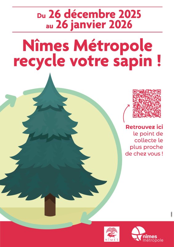 🎄 Collecte des sapins de No&euml;l 🎄