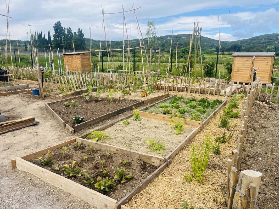 Les jardins partag&eacute;s de Poussan du complexe des Baux prennent vie !