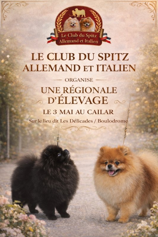 &Eacute;v&egrave;nement : 🦴R&eacute;gionale d'&eacute;levage Spitz Allemand et Italien 🦴