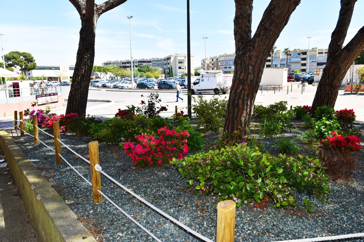 Le printemps s'invite dans les espaces publics de Balaruc