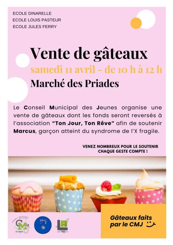 Conseil Municipal des Jeunes