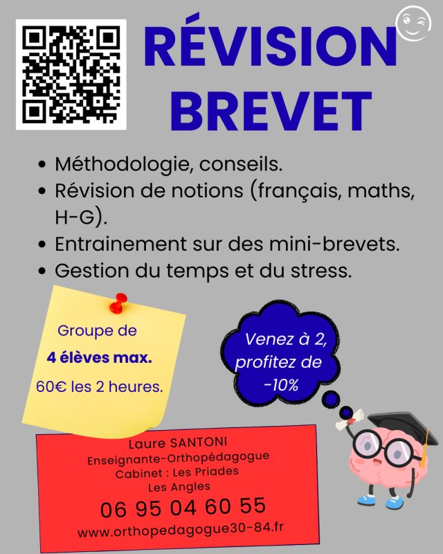 REVISION BREVET