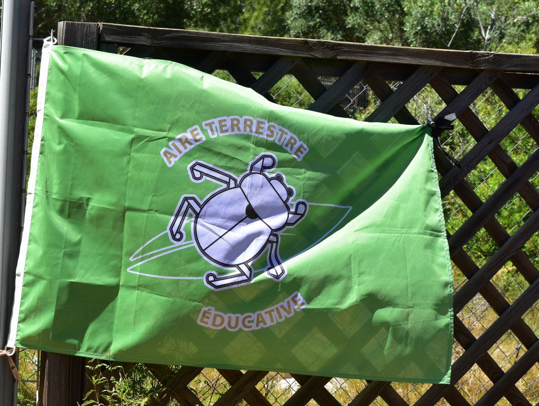 Les jeunes Balarucois s&rsquo;engagent pour la biodiversit&eacute; !