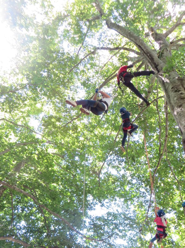 ATELIER GRIMPE ARBRES