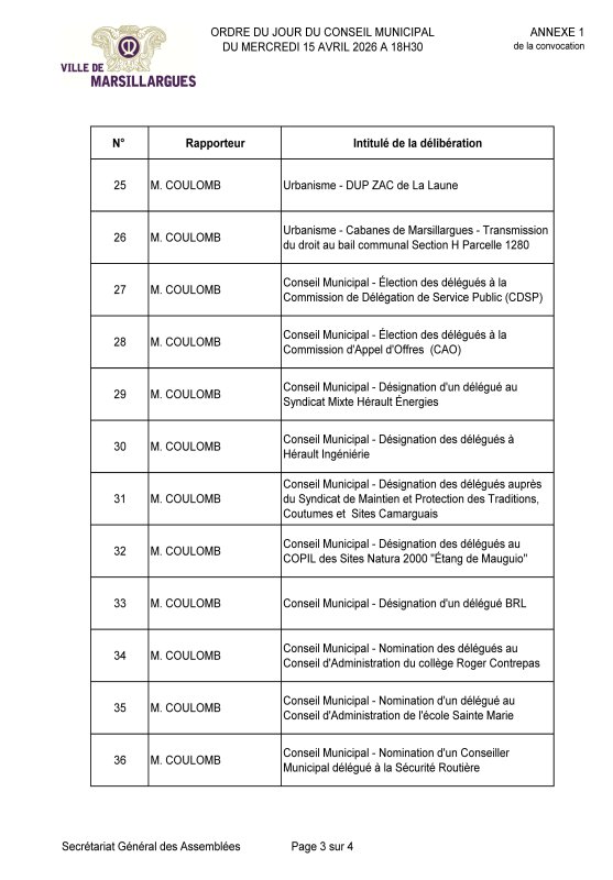 🇫🇷 CONSEIL MUNICIPAL 🇫🇷
