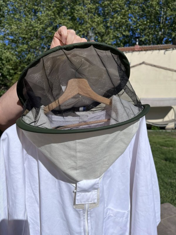 🐝 R&eacute;paration technique du jour 🧵