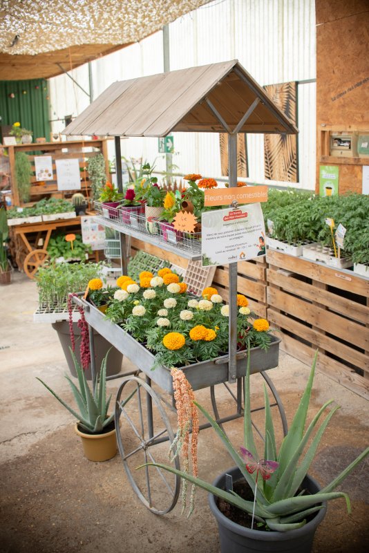 🌱 La boutique est ouverte !