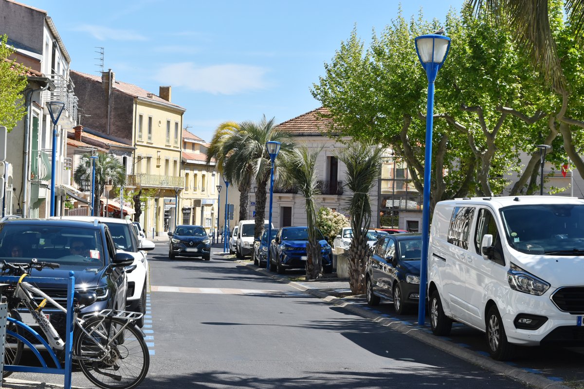 De nouveaux palmiers sur l&rsquo;avenue du Port !