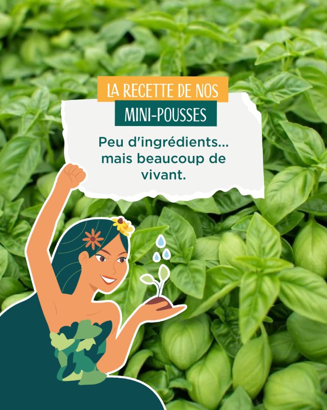🌿 La recette des Mini-Pousses ?