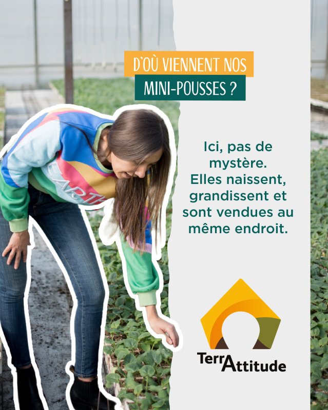 Avant d&rsquo;arriver dans vos jardins, nos mini-pousses ont toute une histoire.