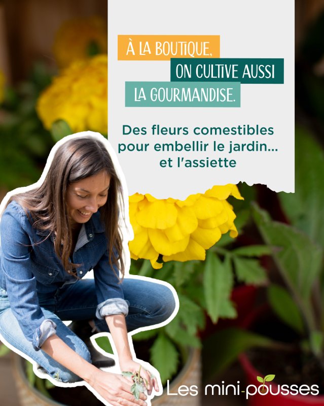 🌸 &Agrave; la boutique, on cultive aussi la gourmandise !