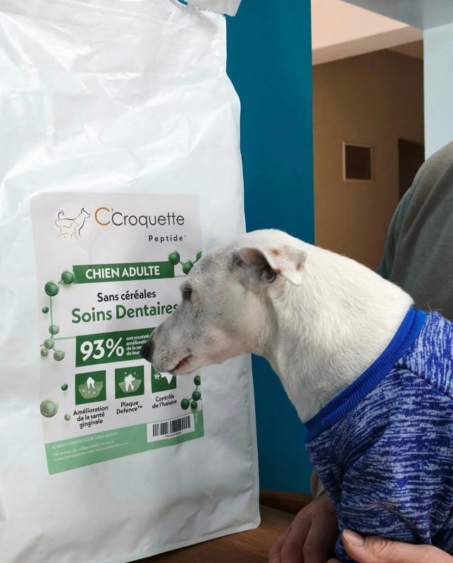 La boutique C'croquette