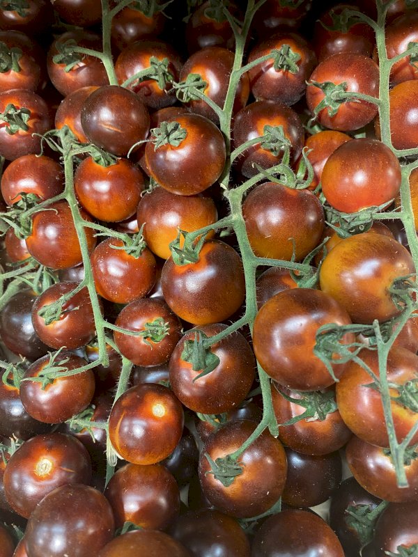 Merveille de Tomates