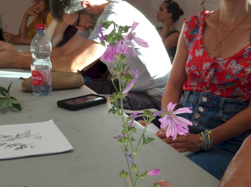 Rejoignez le projet participatif d'un atlas de la biodiversité
